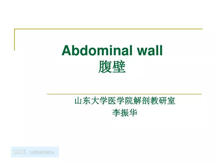 abdominal wall