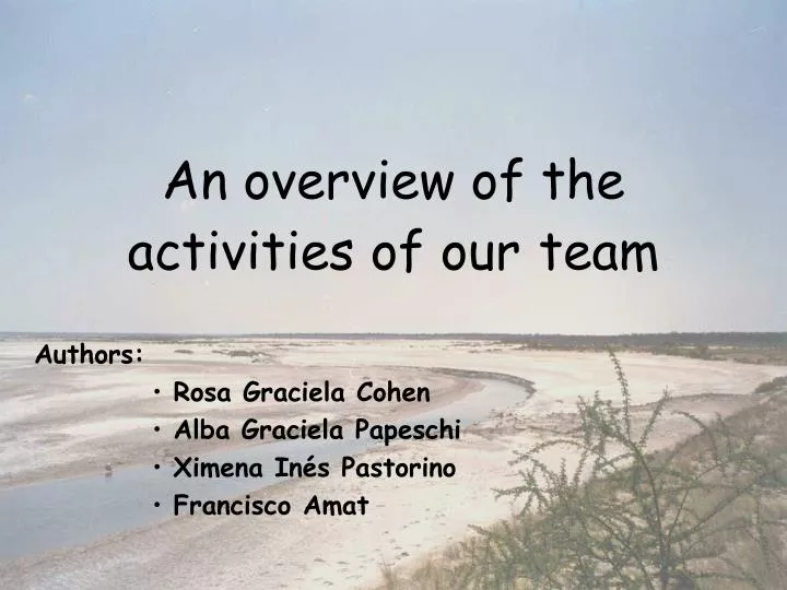 an overview of the activities of our team
