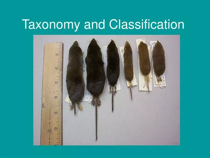 taxonomy and classification