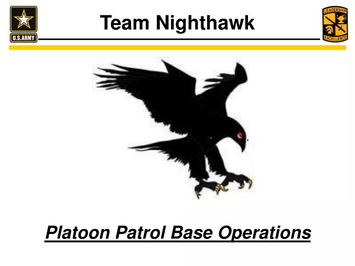 team nighthawk