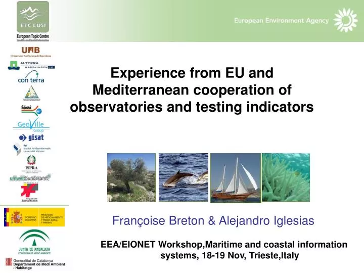 experience from eu and mediterranean cooperation of observatories and testing indicators