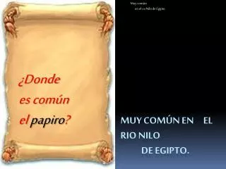 donde es com n el papiro