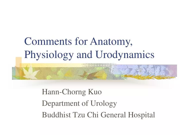 comments for anatomy physiology and urodynamics