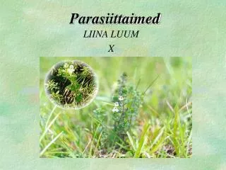 parasiittaimed