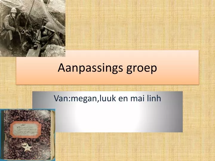 aanpassings groep