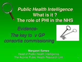 Public Health Intelligence What is it ? The role of PHI in the NHS