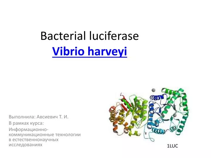 bacterial luciferase vibrio harveyi