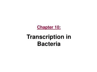 Chapter 10: Transcription in Bacteria