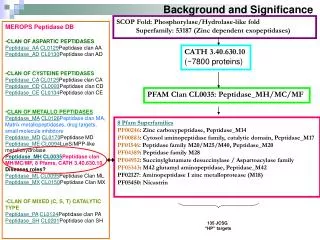 CATH 3.40.630.10 (~7800 proteins)