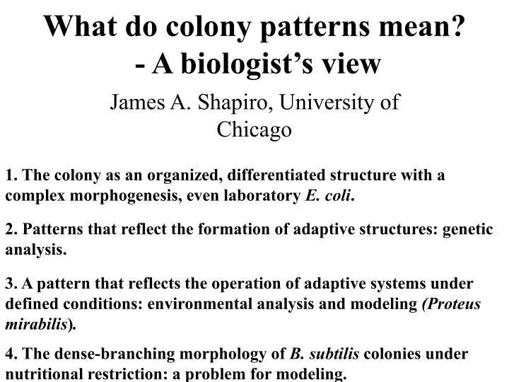 what do colony patterns mean a biologist s view