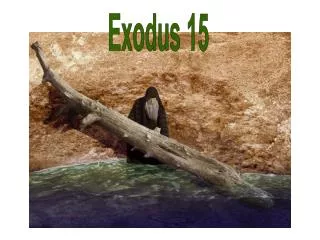 Exodus 15
