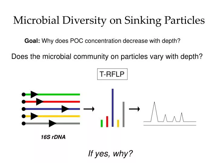 microbial diversity on sinking particles