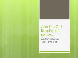 Aerobic Cell Respiration - Review