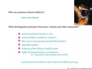 Who are primates closest relatives?