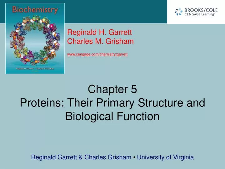 chapter 5 proteins their primary structure and biological function