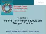Chapter 5 Proteins: Their Primary Structure and Biological Function - slide 1
