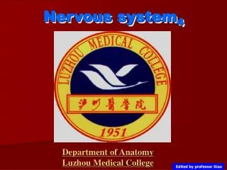 Nervous system 4