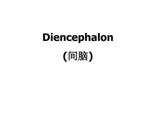 Diencephalon ( ?? )