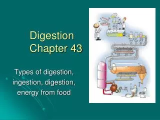 Digestion Chapter 43