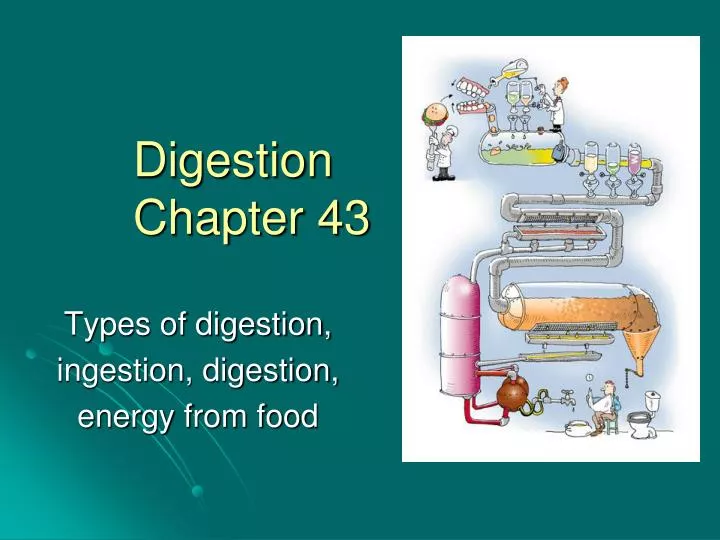 digestion chapter 43
