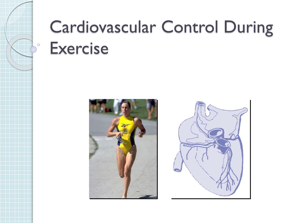 PPT - Cardiovascular Control During Exercise PowerPoint Presentation ...