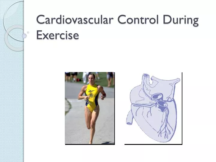 cardiovascular control during exercise