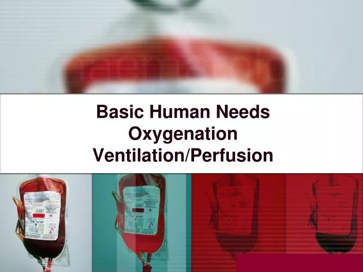 basic human needs oxygenation ventilation perfusion