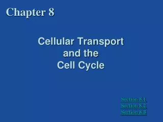 Cellular Transport and the Cell Cycle