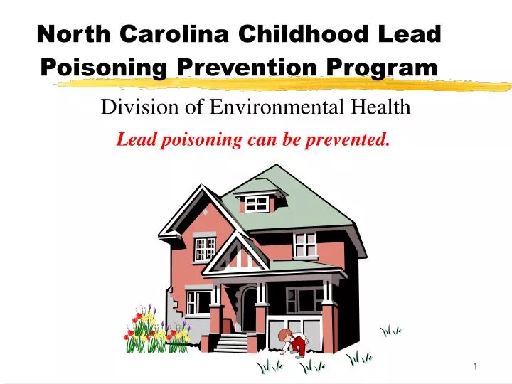 north carolina childhood lead poisoning prevention program