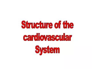 Structure of the cardiovascular System