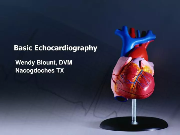 basic echocardiography