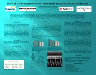 Effect of Calorie Restriction on Doxorubicin Induced Cardiac Dysfunction