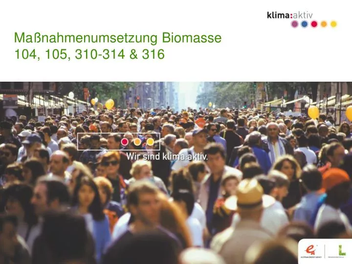 ma nahmenumsetzung biomasse 104 105 310 314 316