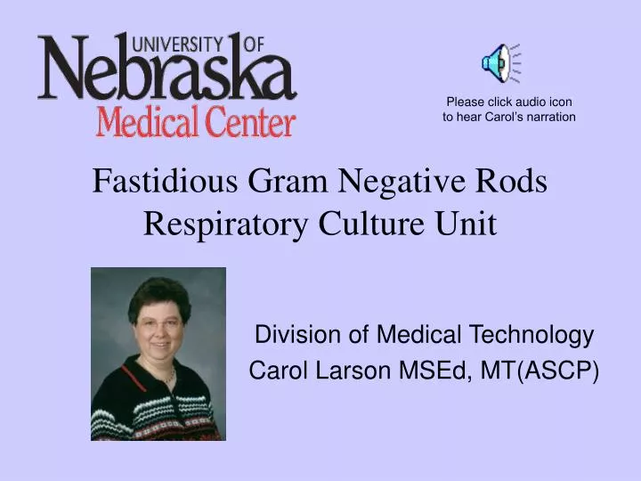 fastidious gram negative rods respiratory culture unit