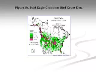 Figure 6b. Bald Eagle Christmas Bird Count Data