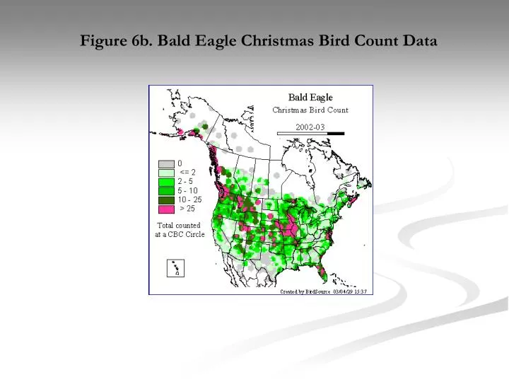 figure 6b bald eagle christmas bird count data