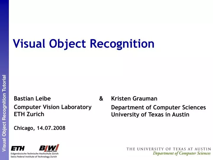 visual object recognition