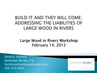 BUILD IT AND THEY WILL COME: ADDRESSING THE LIABILITIES OF LARGE WOOD IN RIVERS