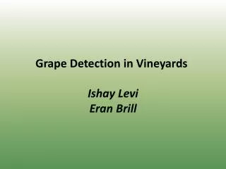 Grape Detection in Vineyards Ishay Levi Eran Brill