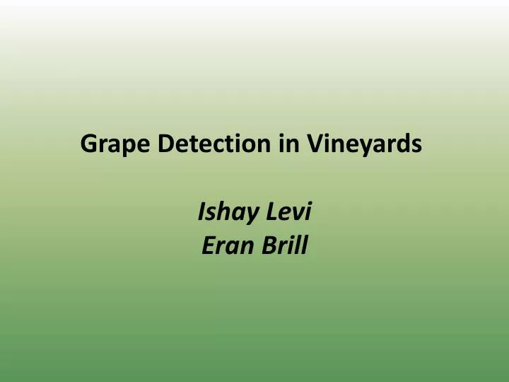 grape detection in vineyards ishay levi eran brill