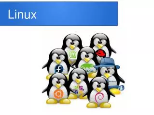 linux