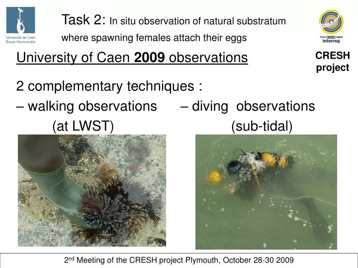 task 2 in situ observation of natural substratum where spawning females attach their eggs