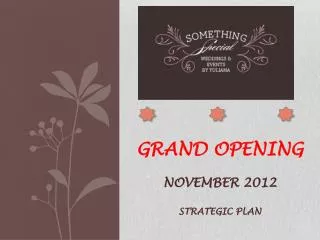 Grand opening November 2012 Strategic Plan