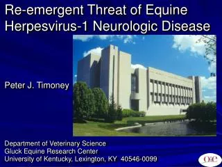 Re-emergent Threat of Equine Herpesvirus-1 Neurologic Disease