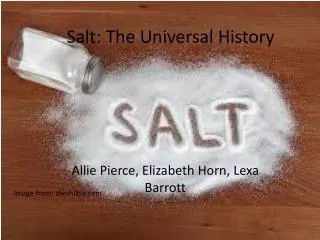 Salt: The Universal History