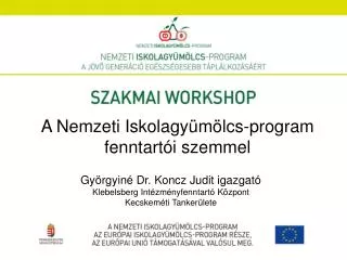 a nemzeti iskolagy m lcs program fenntart i szemmel