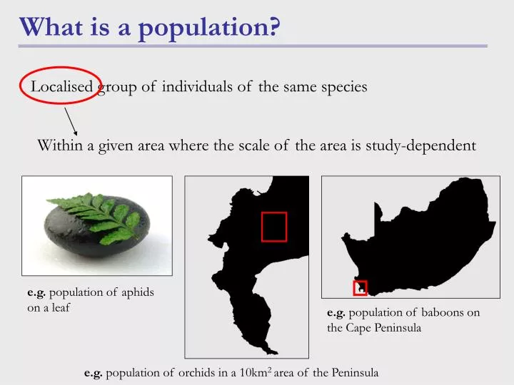 what is a population