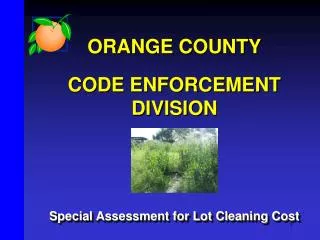 ORANGE COUNTY CODE ENFORCEMENT DIVISION Special Assessment for Lot Cleaning Cost