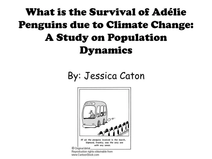 what is the survival of ad lie penguins due to climate change a study on population dynamics