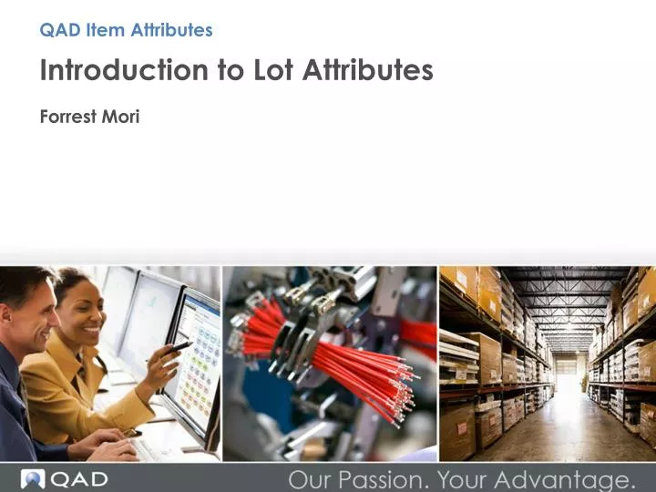 introduction to lot attributes